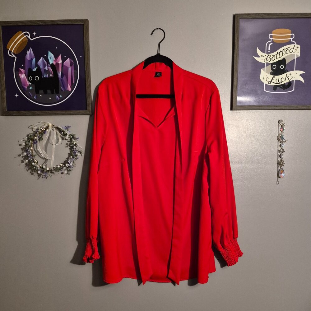 Red Blouse - Picture 2 of 6